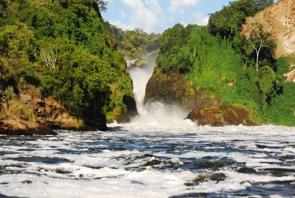 Game Viewing Safaris in Murchison Falls National Park