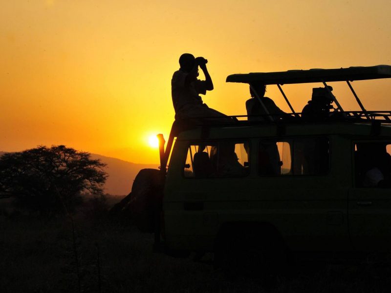 Exciting Game Drives