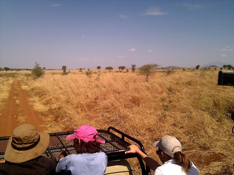 Game drive Safaris in Uganda