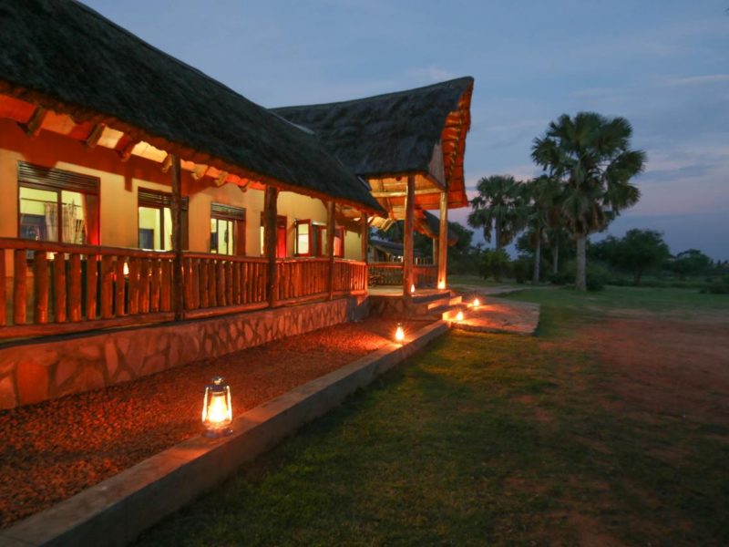 pakuba safari lodge