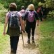 Hiking to the Top of the Falls