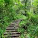 Nature Walking Safaris in Uganda