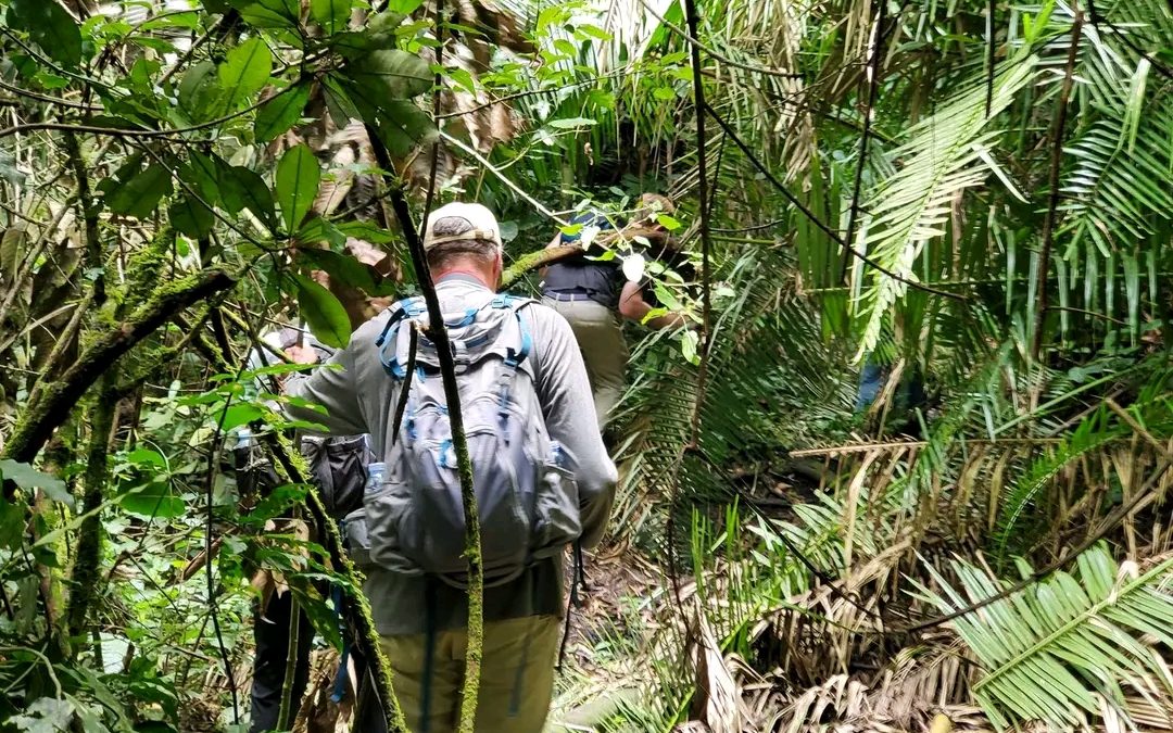 Nature Walks in Bigodi Wetland