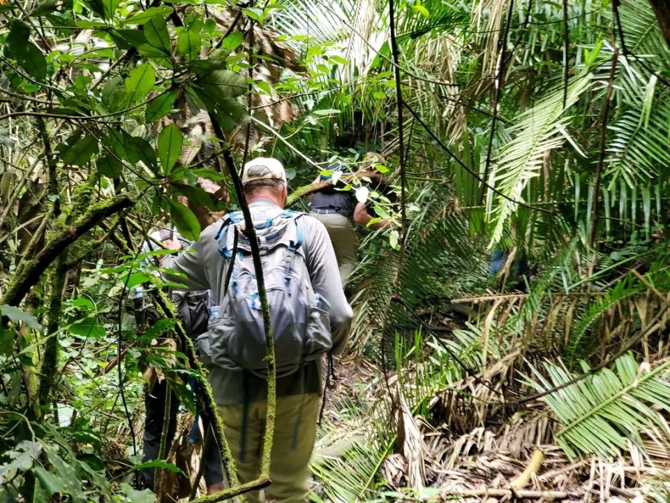 Nature Walks in Bigodi Wetland