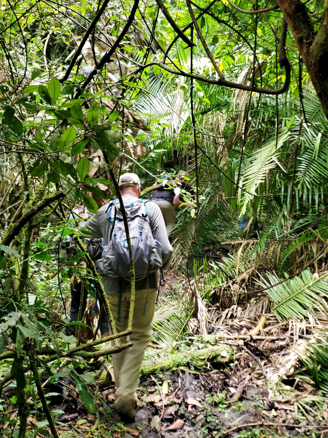 Nature Walking Safaris in Uganda