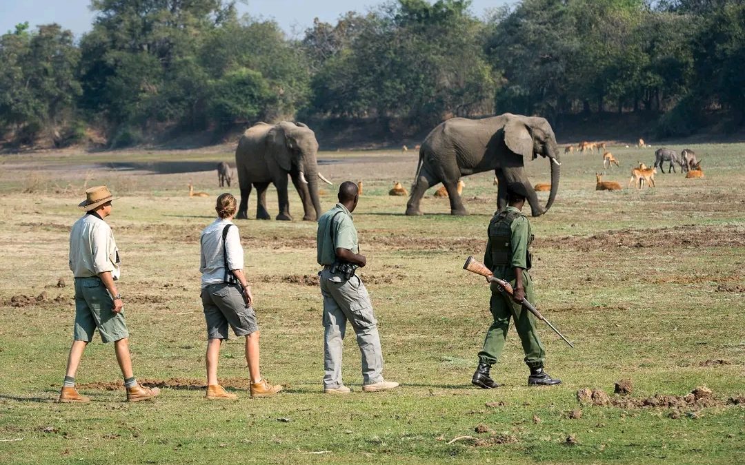 Guided Walking Safaris in Kenya