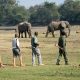 Guided Walking Safaris in Kenya