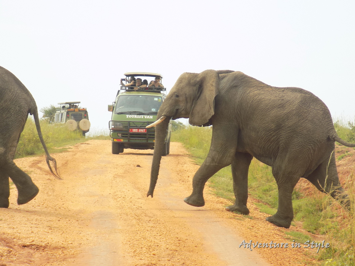 What are the prices for safari in Uganda?